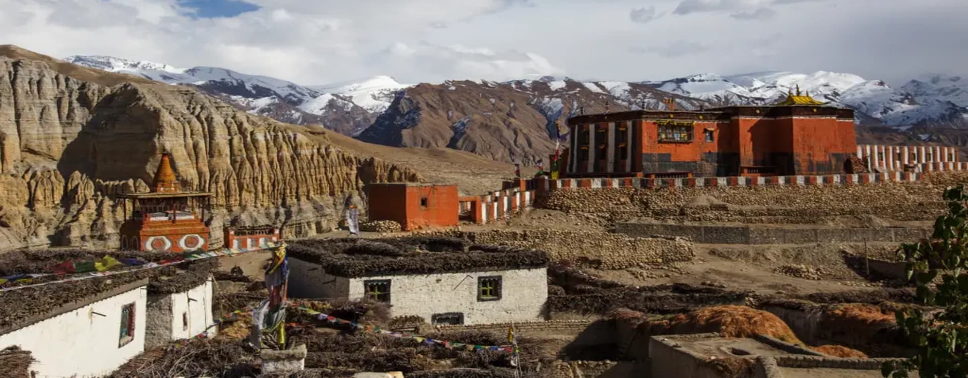 About Mustang Region