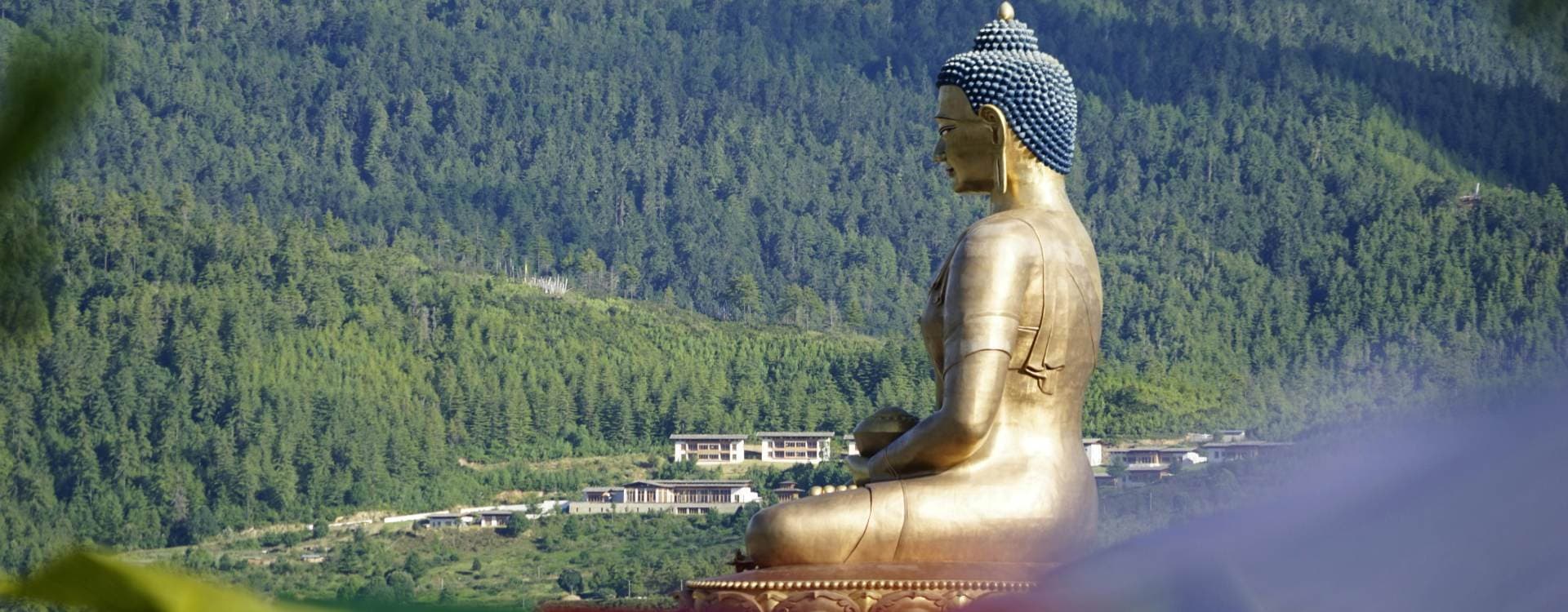 Why Should You Embark on a Bhutan Tour?