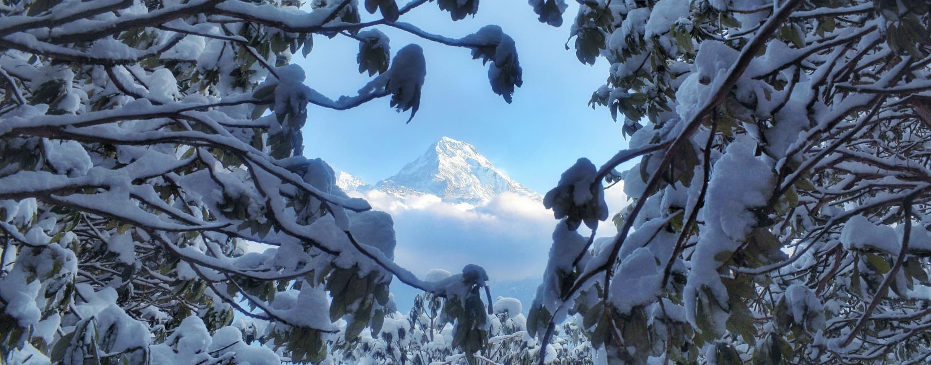 Langtang Valley Trek, Nepal: Distance, Duration & Highlights