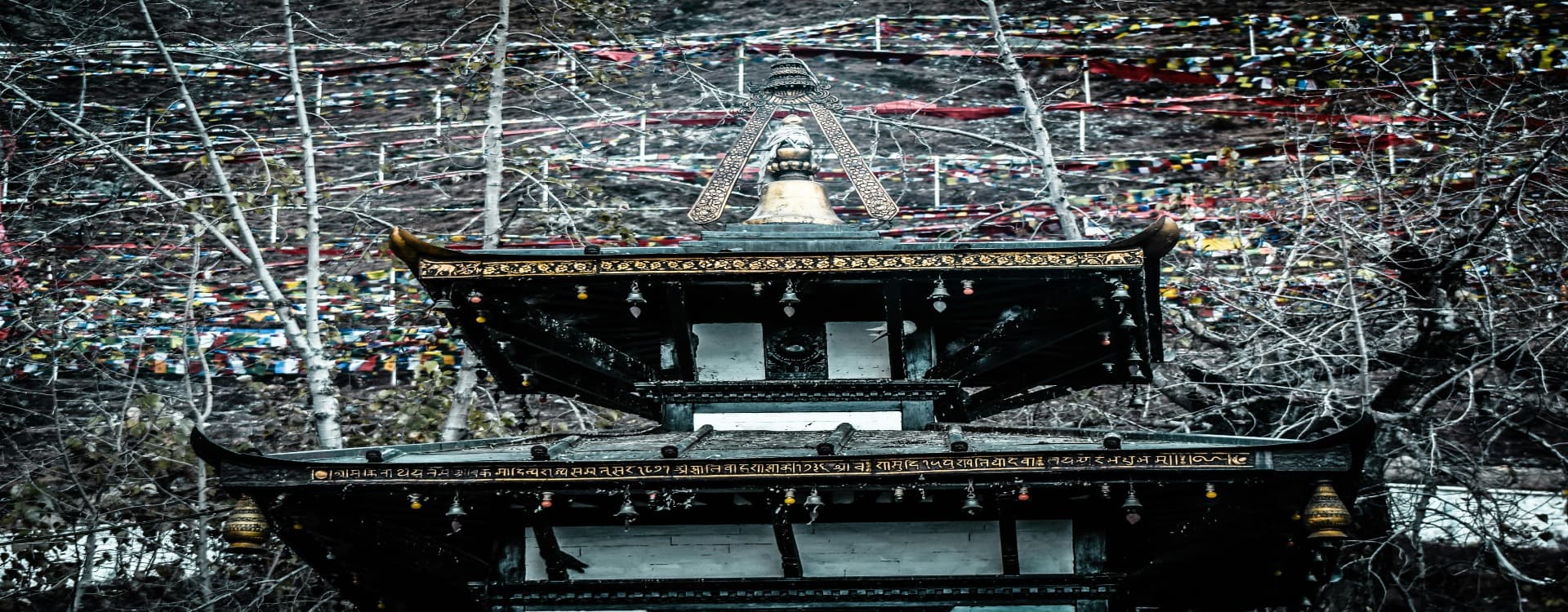 Pashupatinath and Muktinath Darshan Package