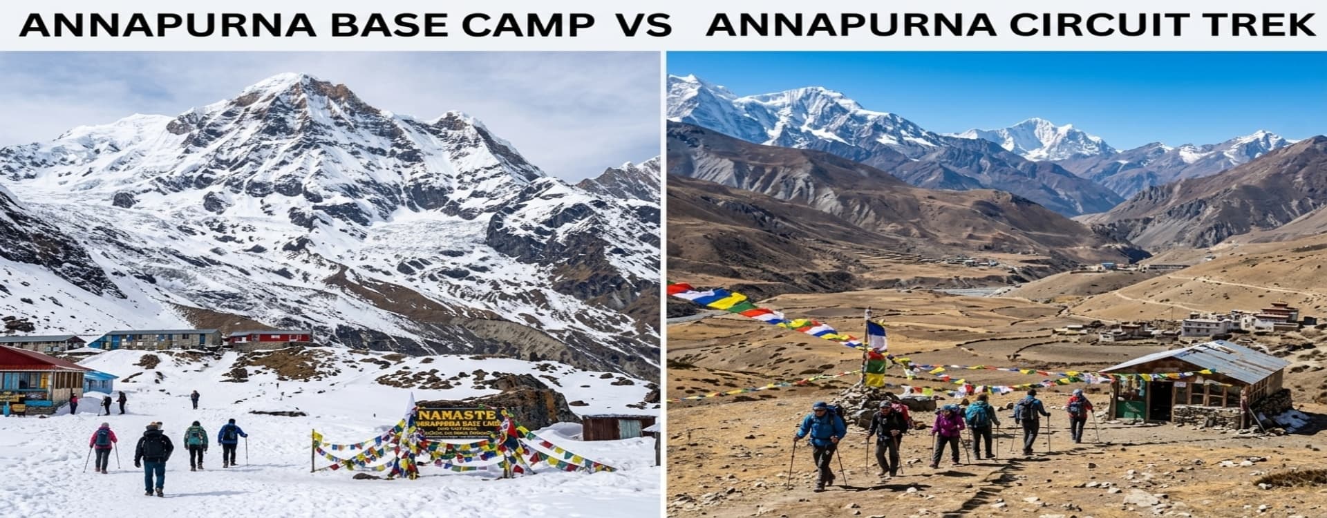 Annapurna Base Camp vs Annapurna Circuit: Key Differences Explained