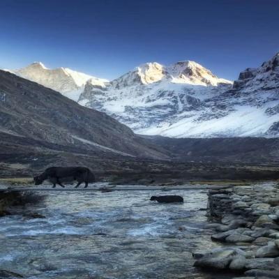 lelep-kanchenjunga-trek 