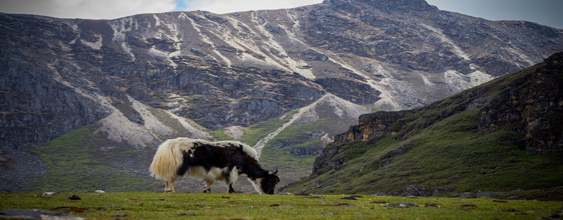 Jomolhari Yaksa Trek