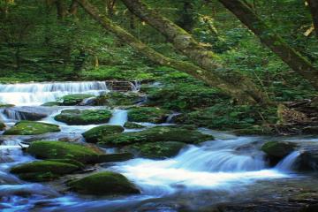 shivapuri day hikes 