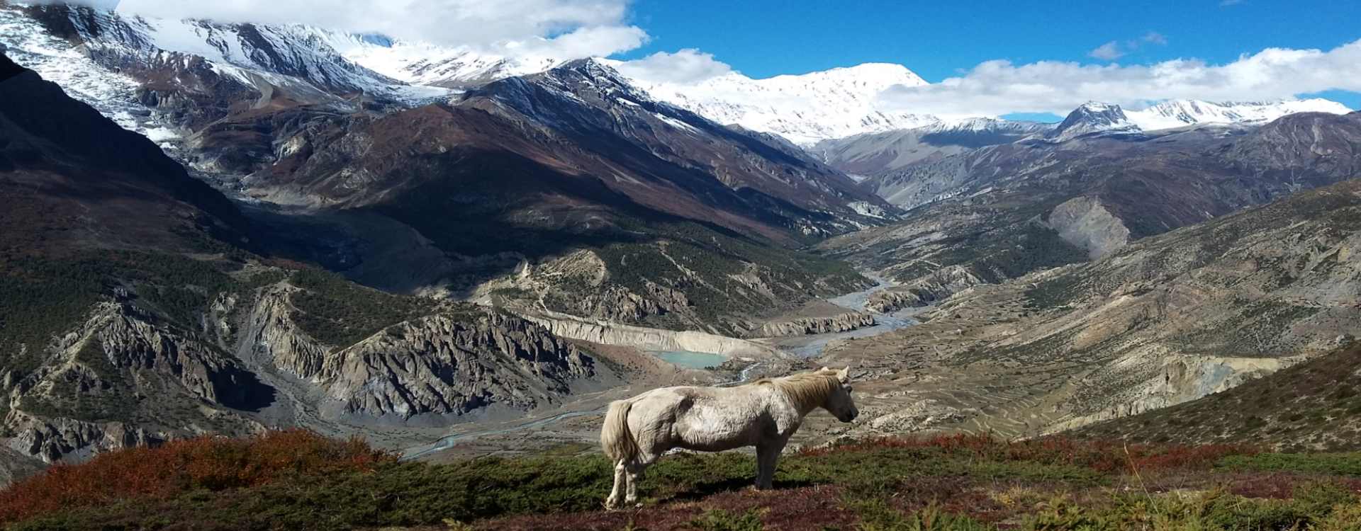 Annapurna Circuit Trek