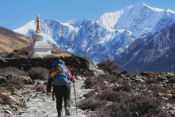Explore the Stunning Langtang Valley Trek with Expert Tips