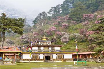 Discover the Ultimate Accessible Adventure: Your Comprehensive Guide to the Manaslu Circuit Trek in Nepal’s Majestic Himalayas